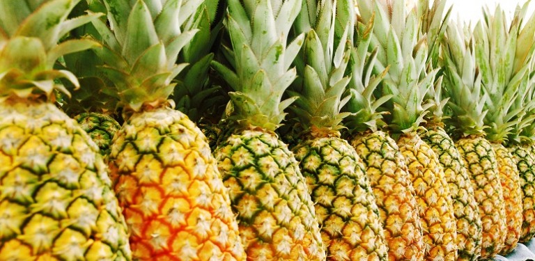 tropical fruit pineapple