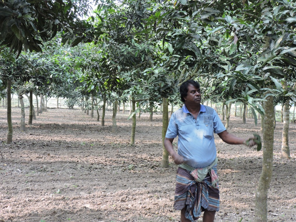 Bangladeshi exporter on mango mission for the EU market