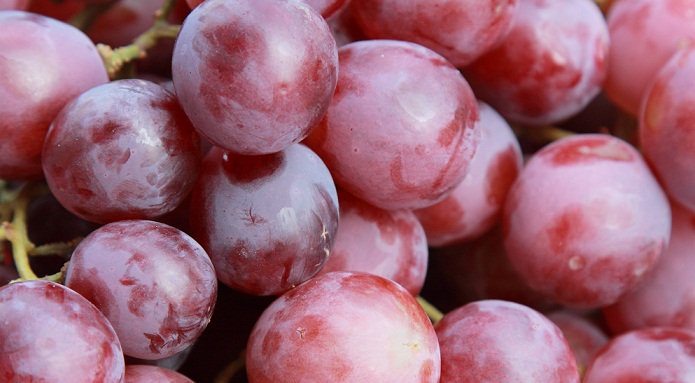 Chilean grape sector may face looming market saturation, growers claim