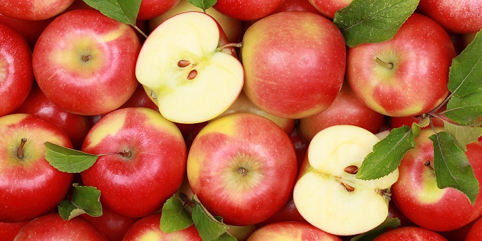 U.S.: Michigan Apple Committee funds new research projects