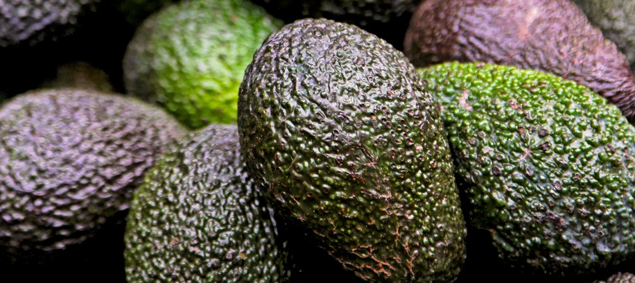 U.S.: Cado's avocado ice cream launch leaves world anxious for a scoop