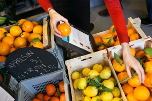 WeFood oranges and lemons - res 2