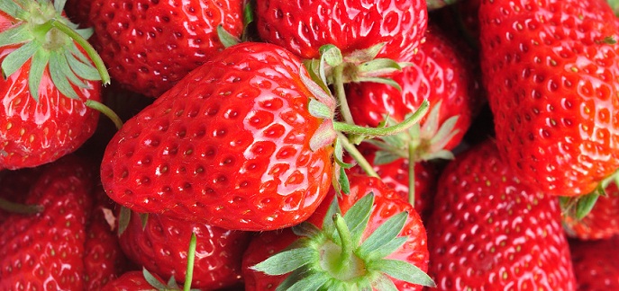 Agronometrics in Charts: Strawberry prices and volumes in the U.S. market