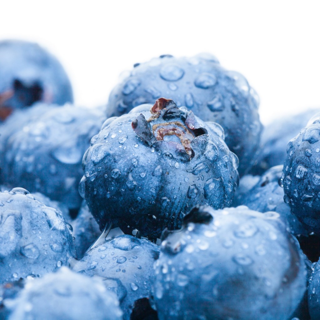 Agronometrics in Charts: Blueberry prices rising in U.S. market despite higher volumes