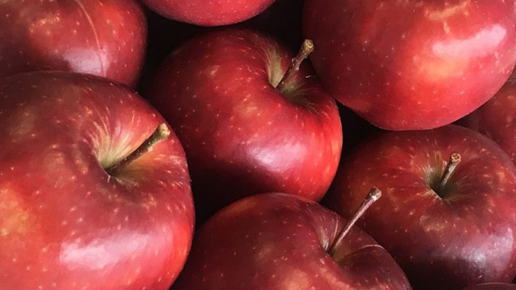 U.K.: Apple variety gets better 'sleeping' in cold storage