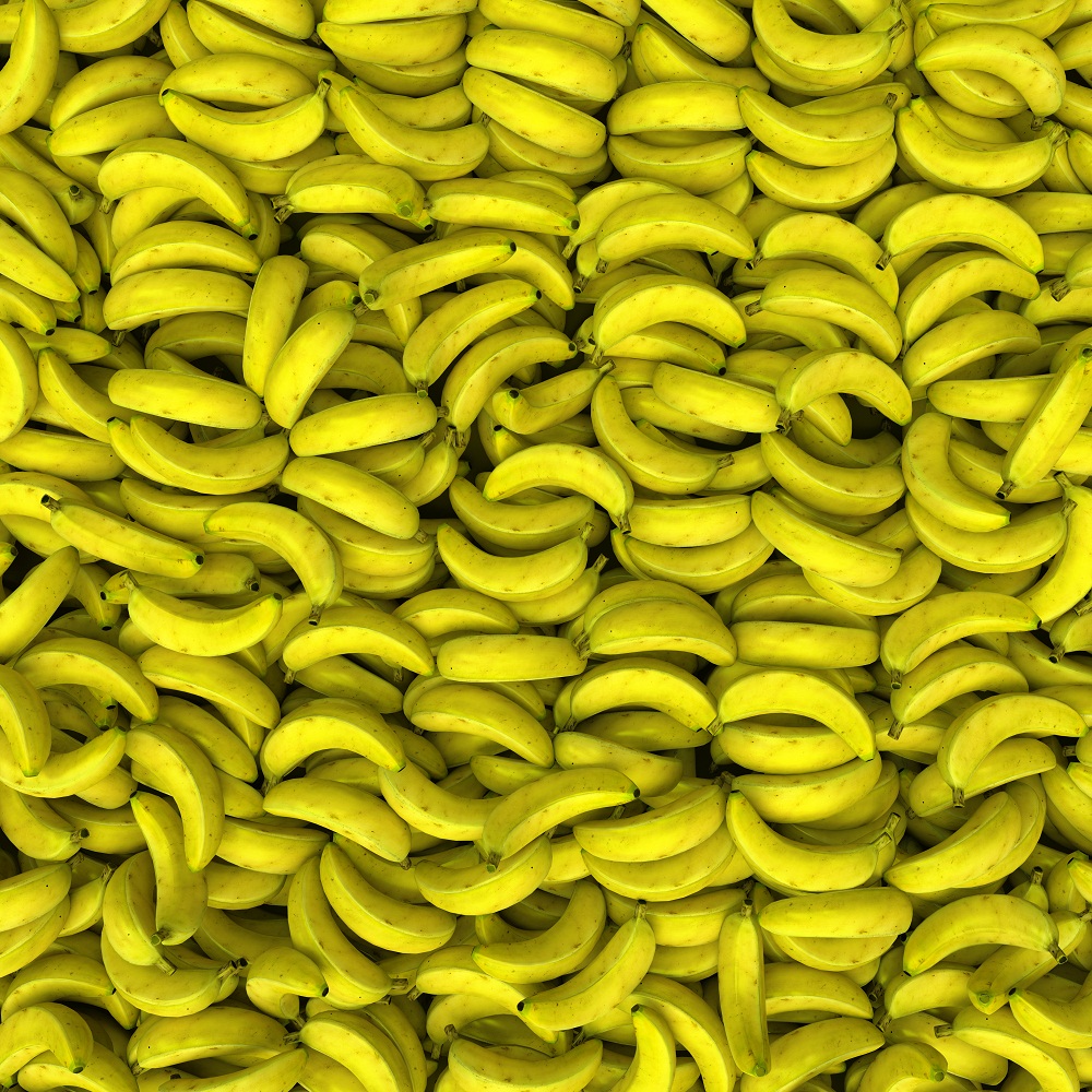 U.S. distributor goes to court over banana no-show U.S. distributor goes to court over banana no-show