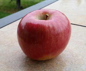 Fuji Apples - Apple Varieties - Riveridge Produce Marketing