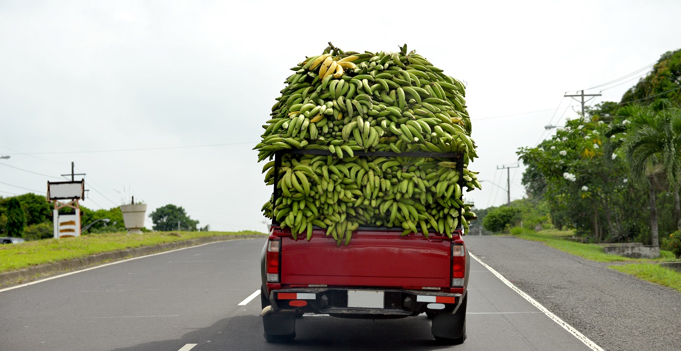 Philippines Dole banana operation shut down due to security concerns