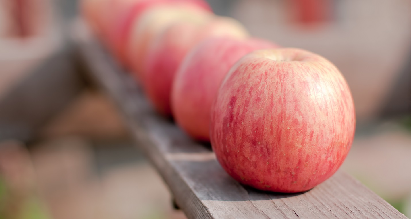 Washington apple crop forecast slightly lower amid tougher export