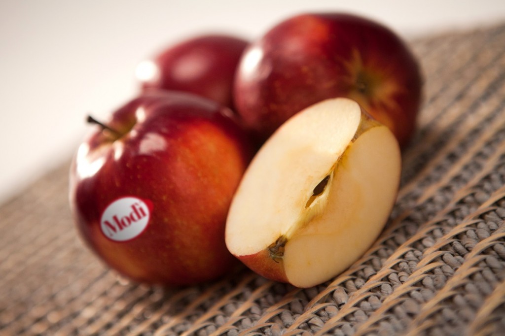 Freshmax Australia celebrates Modi taking lead spot for club apple export varieties