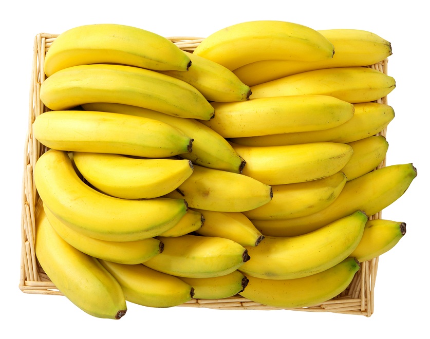 GlobalG.A.P. launches new TR4 disease biosecurity add-on for bananas