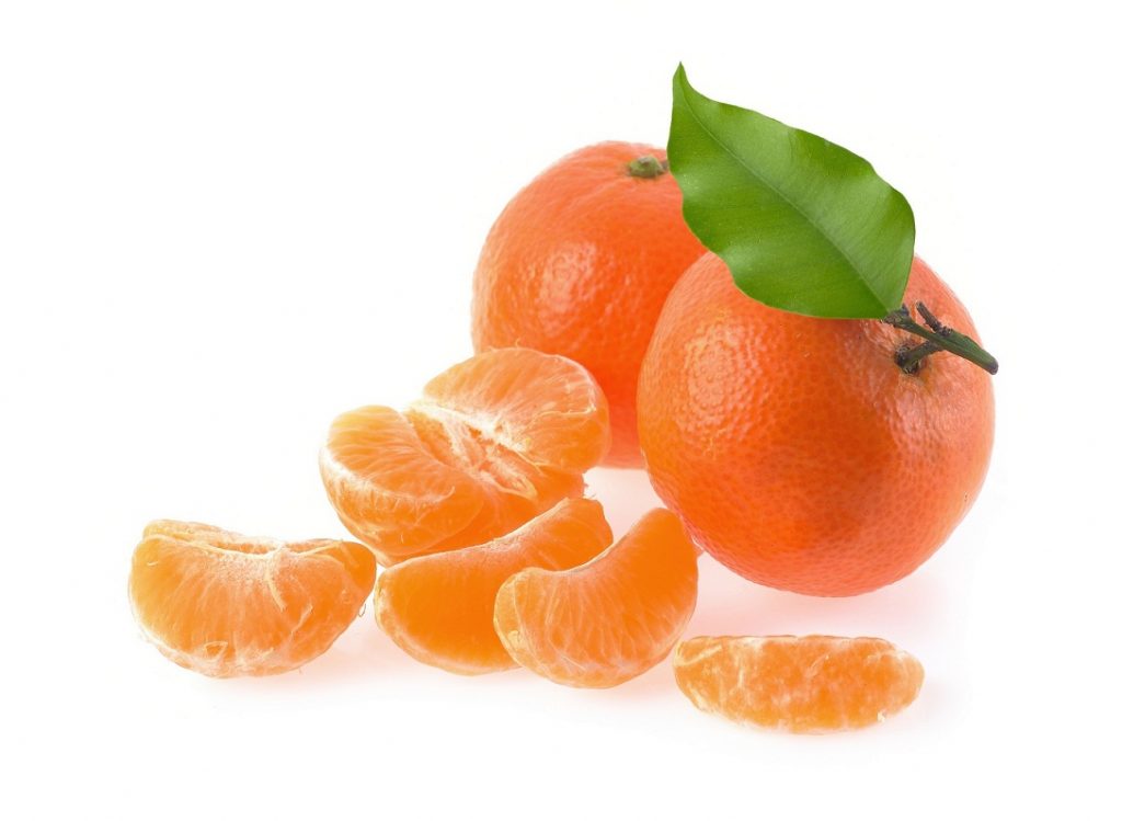 Chilean clementine season sees greater volumes of early varieties