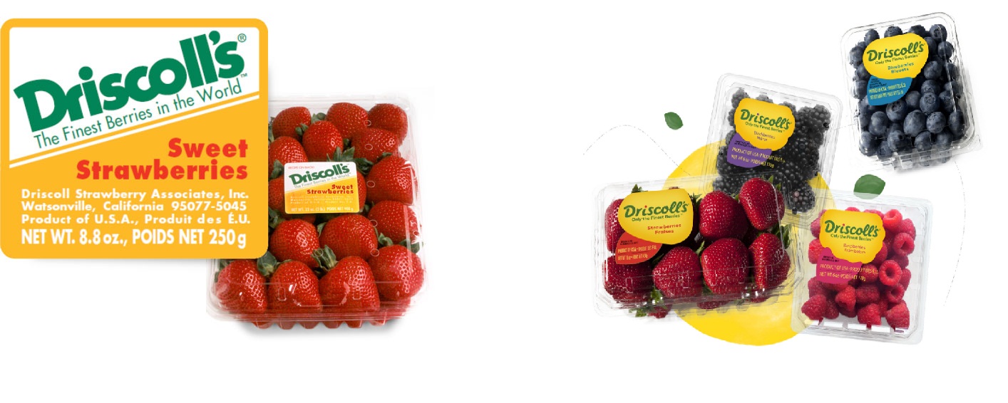 Driscoll's undergoes name change for 'brand consistency