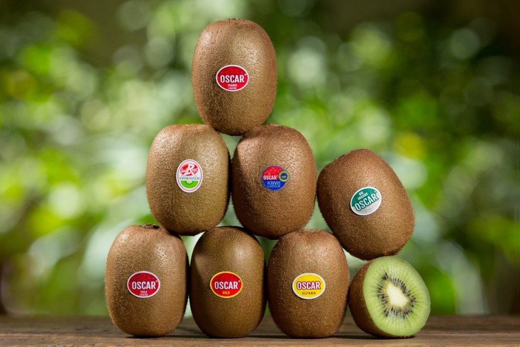 France: Oscar-branded kiwifruit volumes recover