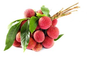 shutterstock_133493618-litchis-with-leaves