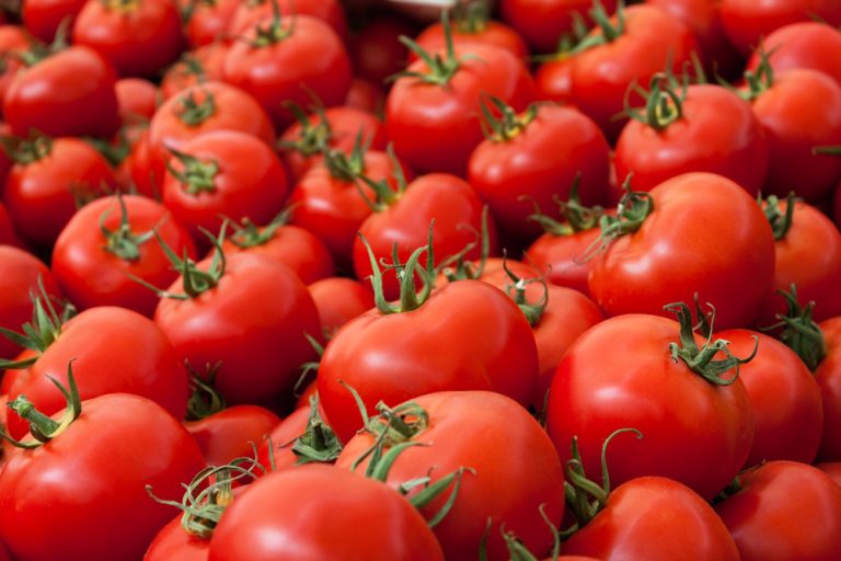 Mexican tomato