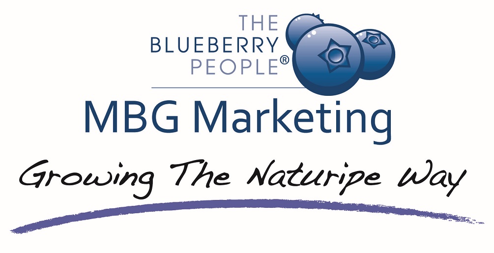 U.S.: MBG Marketing enters global foods market