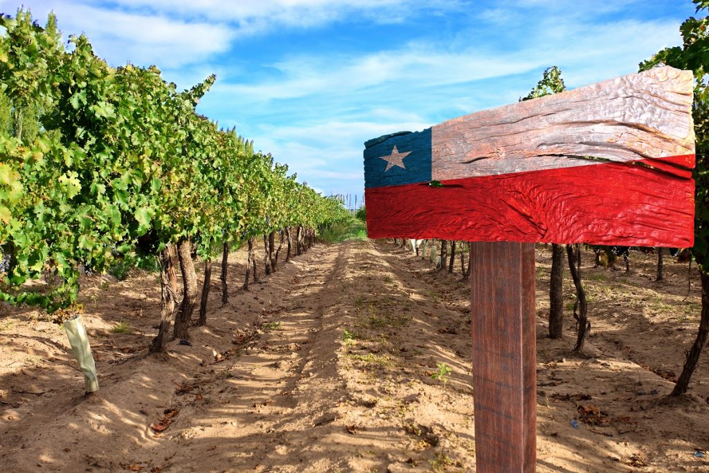 Chile: Decofrut downgrades Crimson grape export forecast amid color setbacks