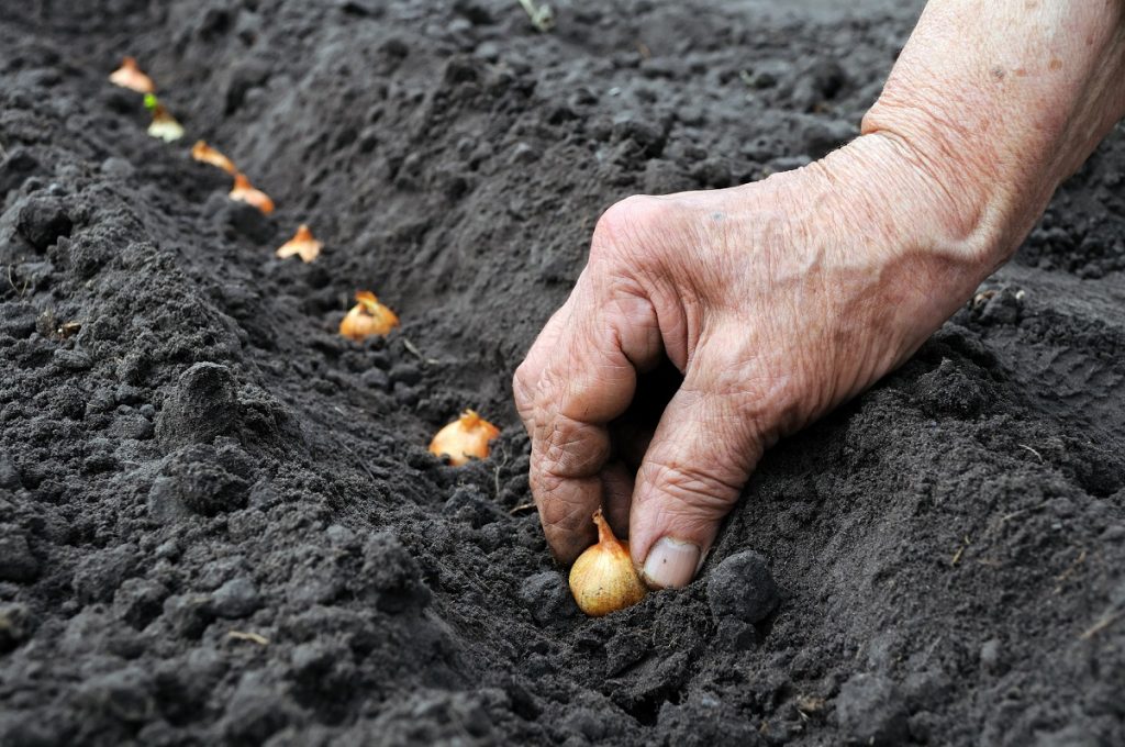 U.S. joins pioneering plant genetic resources treaty