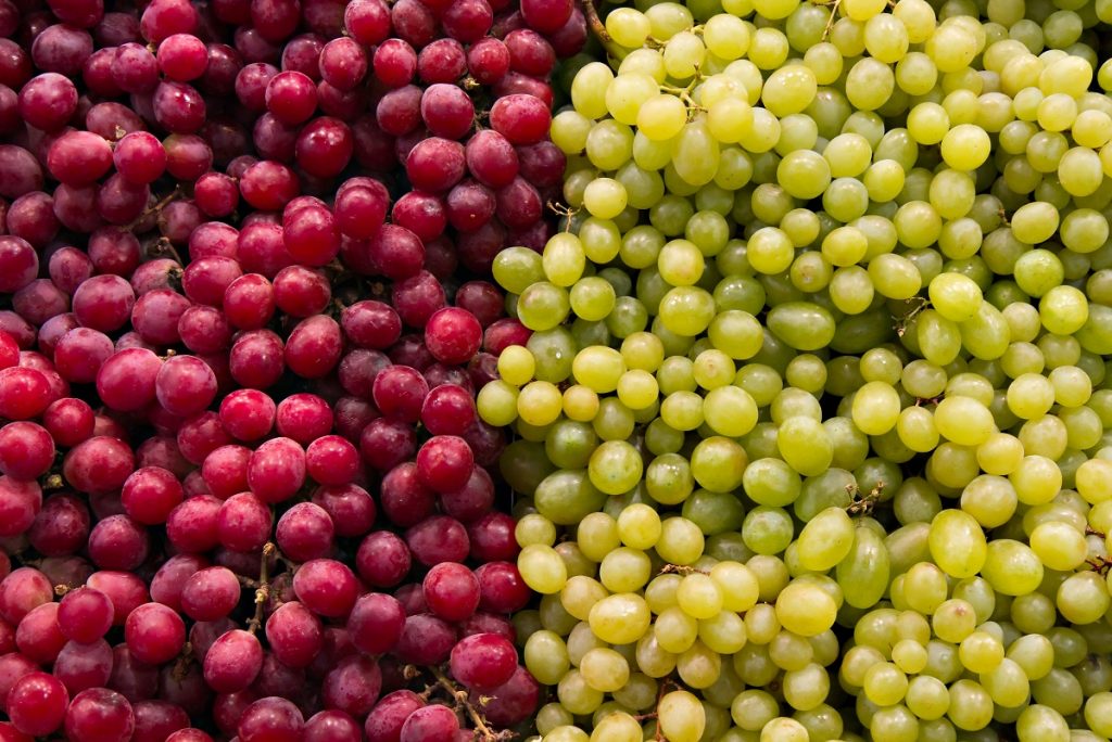 Mexican table grape exports to resume growth trend following drop, says industry rep