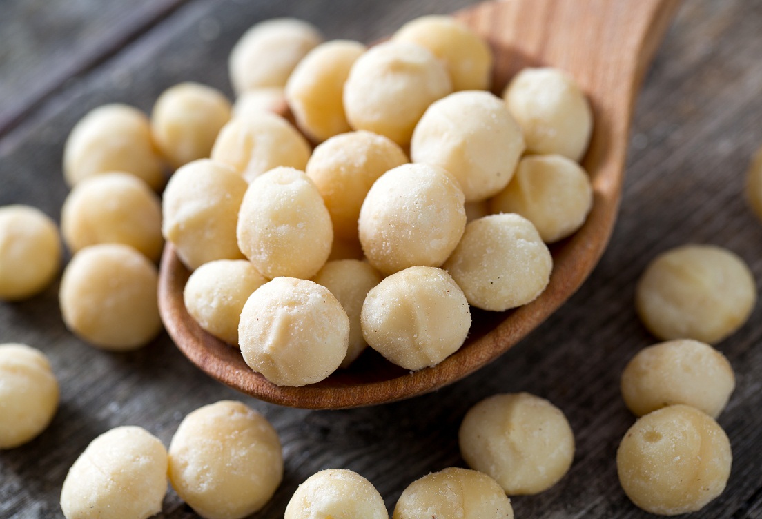 South African macadamia nut processor to greatly expand capacity