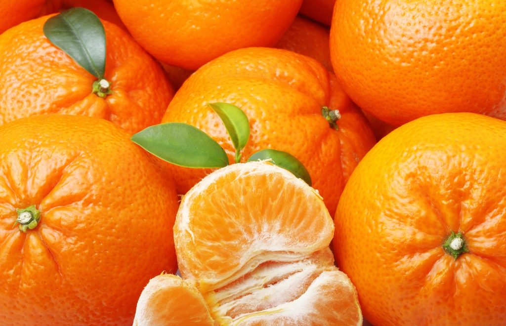 Moroccan citrus exports to decline by up to a fifth in 2017-18