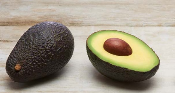 Westfalia expecting strong GEM avocado season