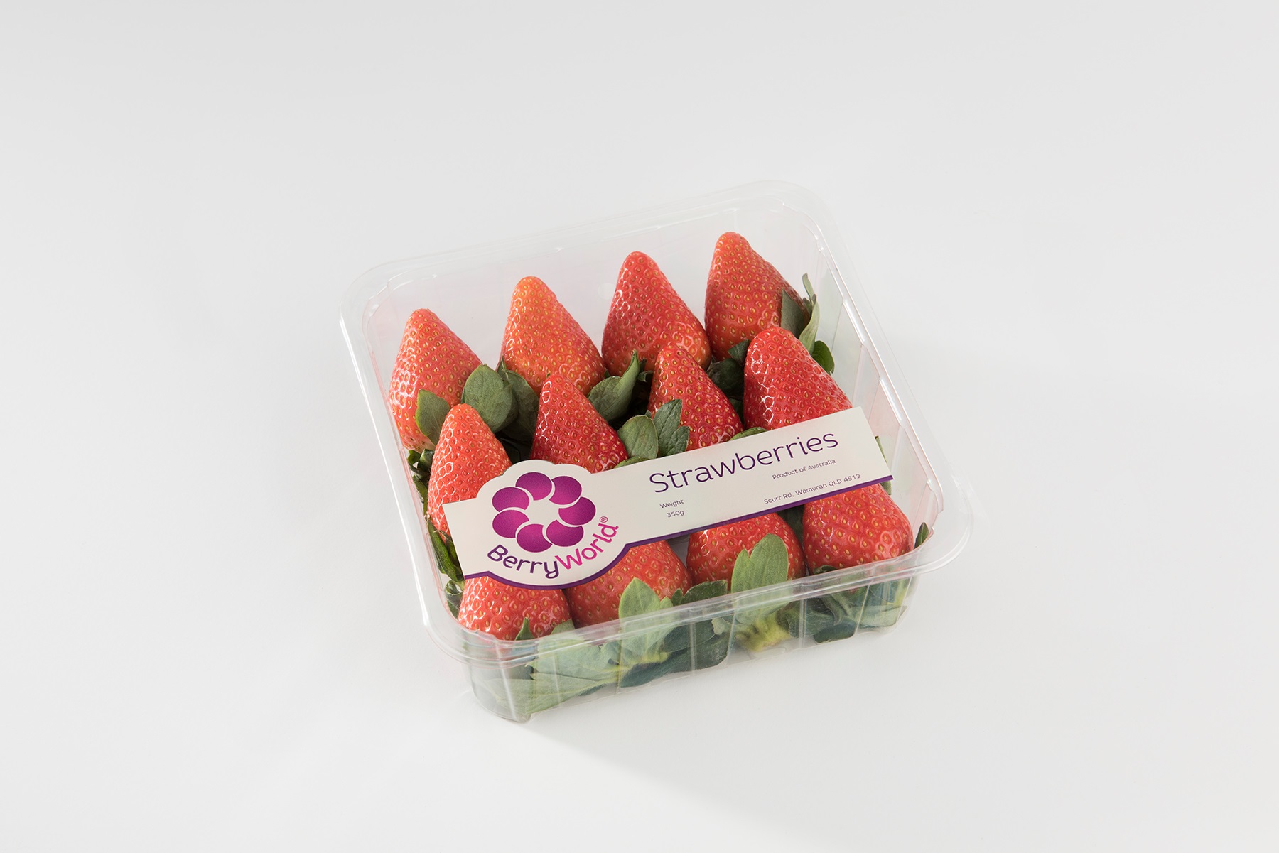 Strawberry harvest kicks off for BerryWorld Australia