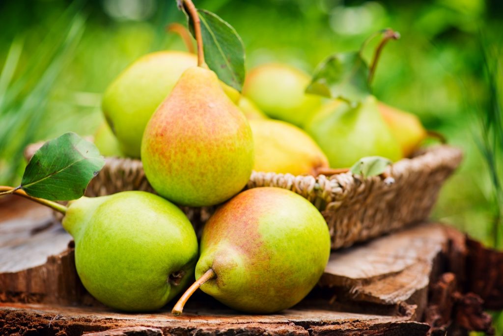 U.S.: Northwest pear production recovers