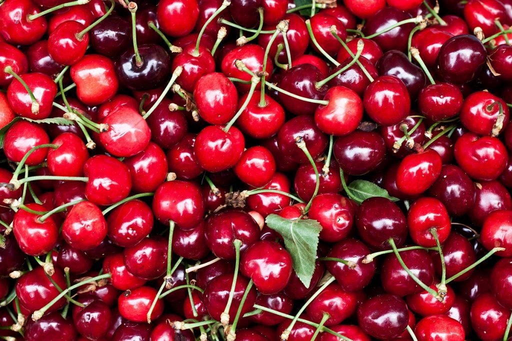 China surpasses Canada as U.S. Northwest's leading cherry export market