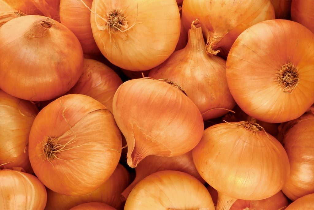 Don’t Cry, Be Happy – Sunions Tearless Onions Are Back in Stores