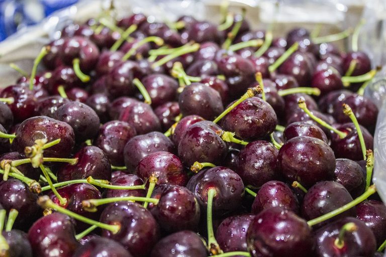 Australian cherry