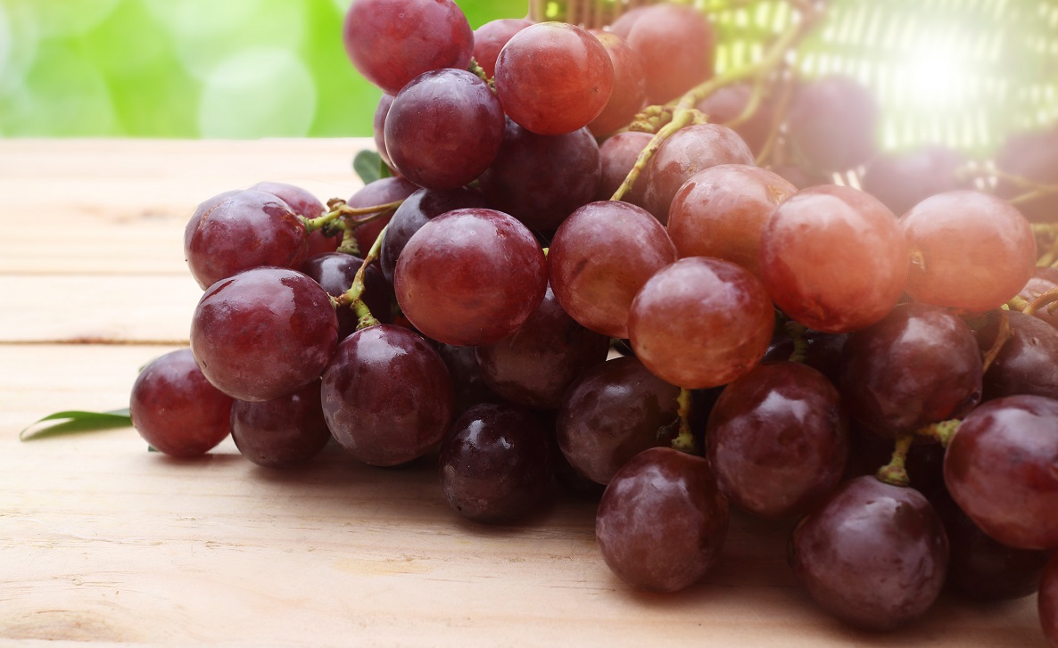 Robinson Fresh partners with Verfrut to supply fruit to European market