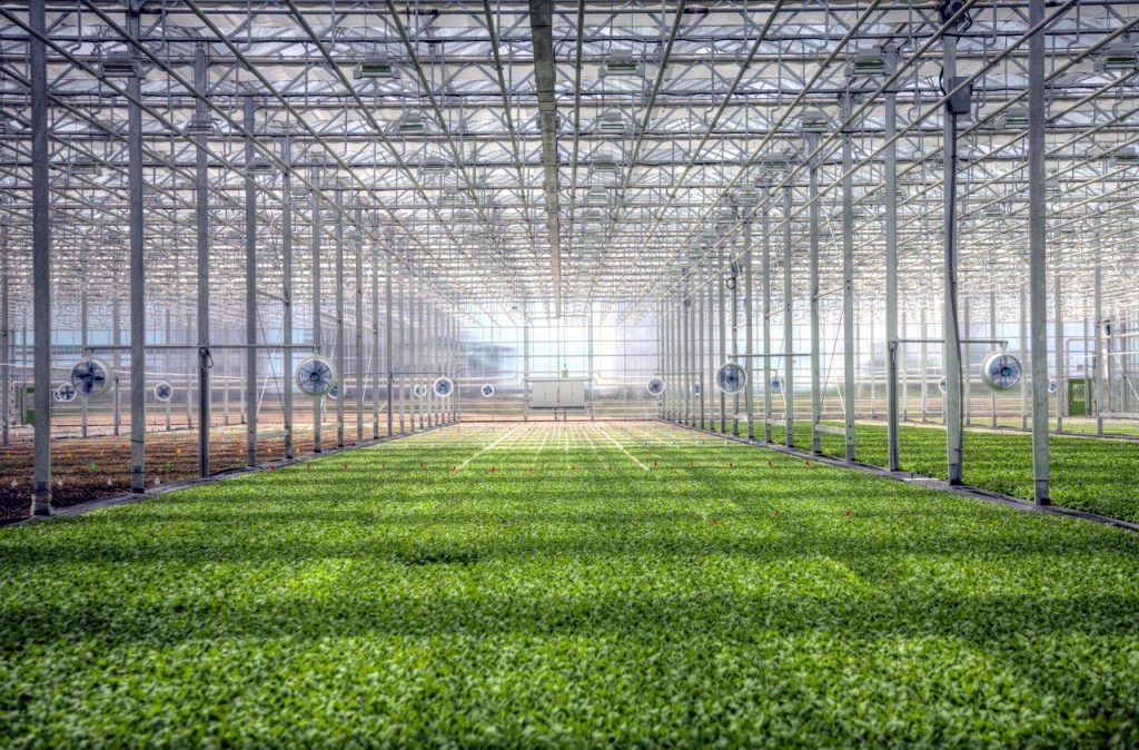 U.S.: Leading indoor farming companies create food safety coalition