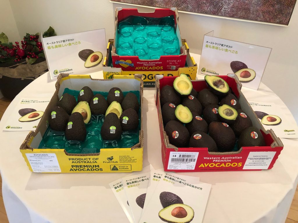 First Australian avocados land in Japan