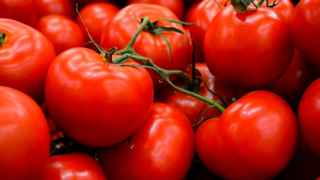 U.S.: FPAA pushes for new tomato deal with Mexico, calls Floridian industry demands 