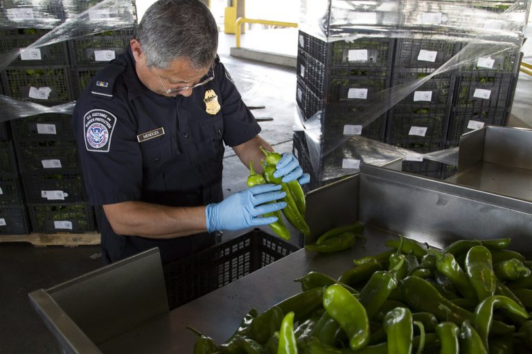 Imported produce inspection