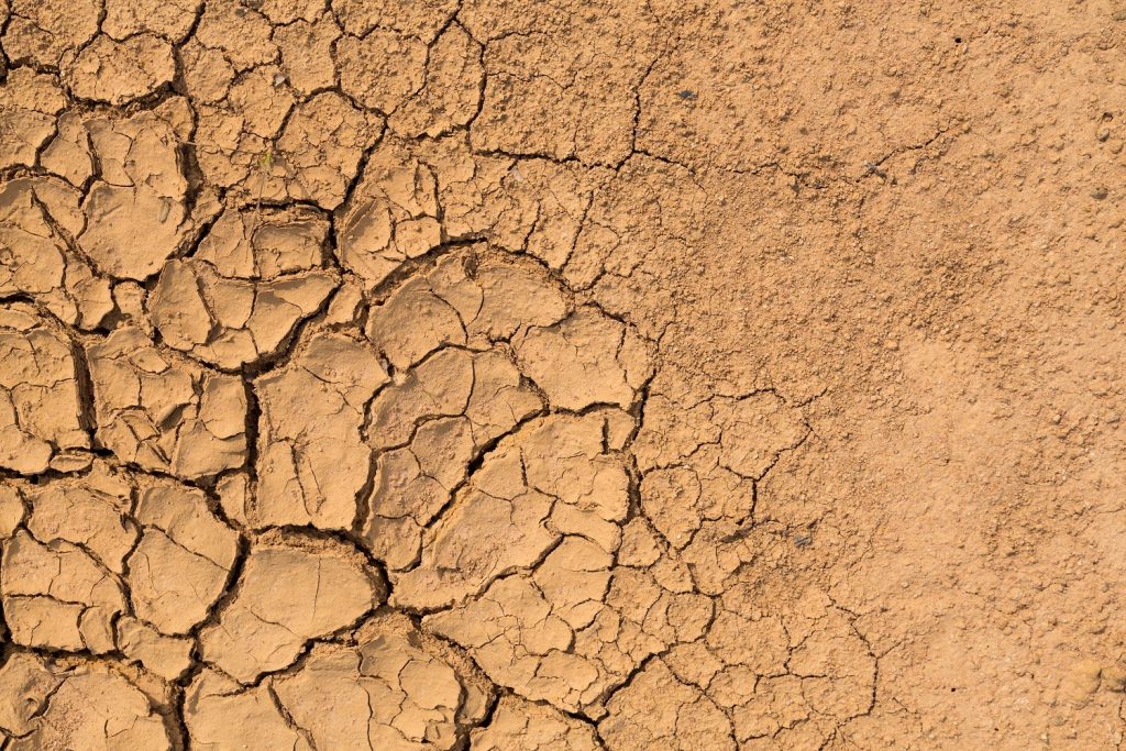 Chile declares agricultural emergency in drought-ravaged Coquimbo