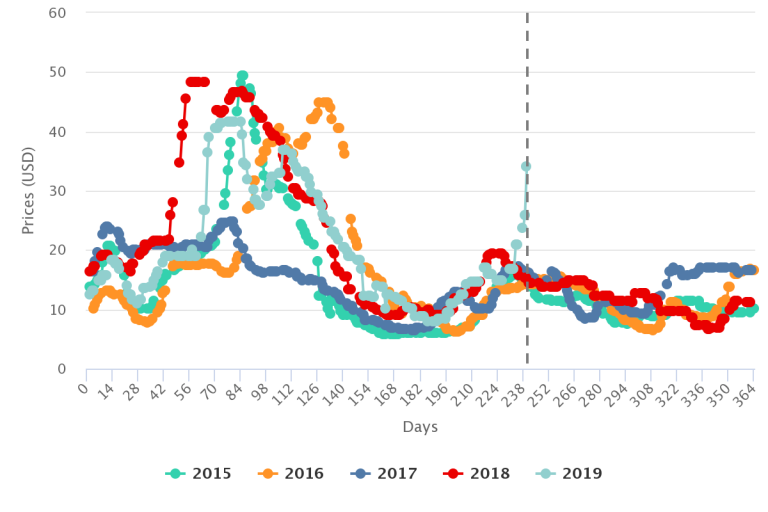 Limes in Charts Prices double in just one week