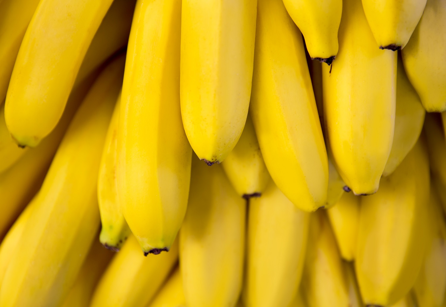 Chiquita to stop shipping bananas from Honduras in favor of Guatemala