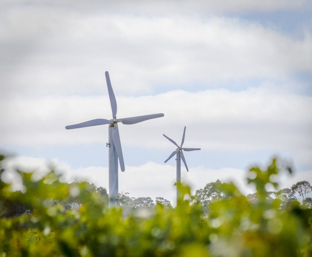 Climate change brings more spring frosts