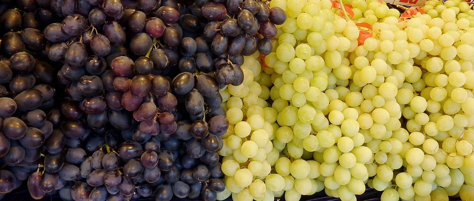 U.S. table grape market offers strong supply, diverse new varieties