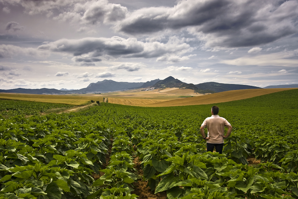 Opinion: Chile's advective frost, the climatic event of the year