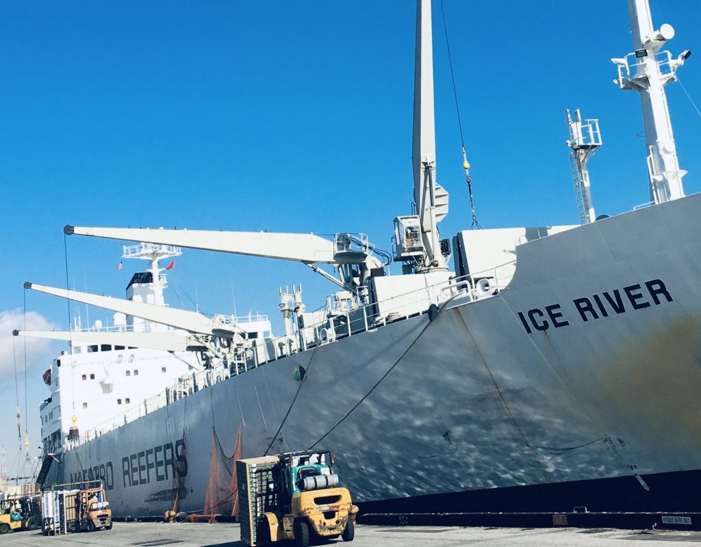 U.S.: First West Coast Chilean fruit vessel of the season arrives in LA