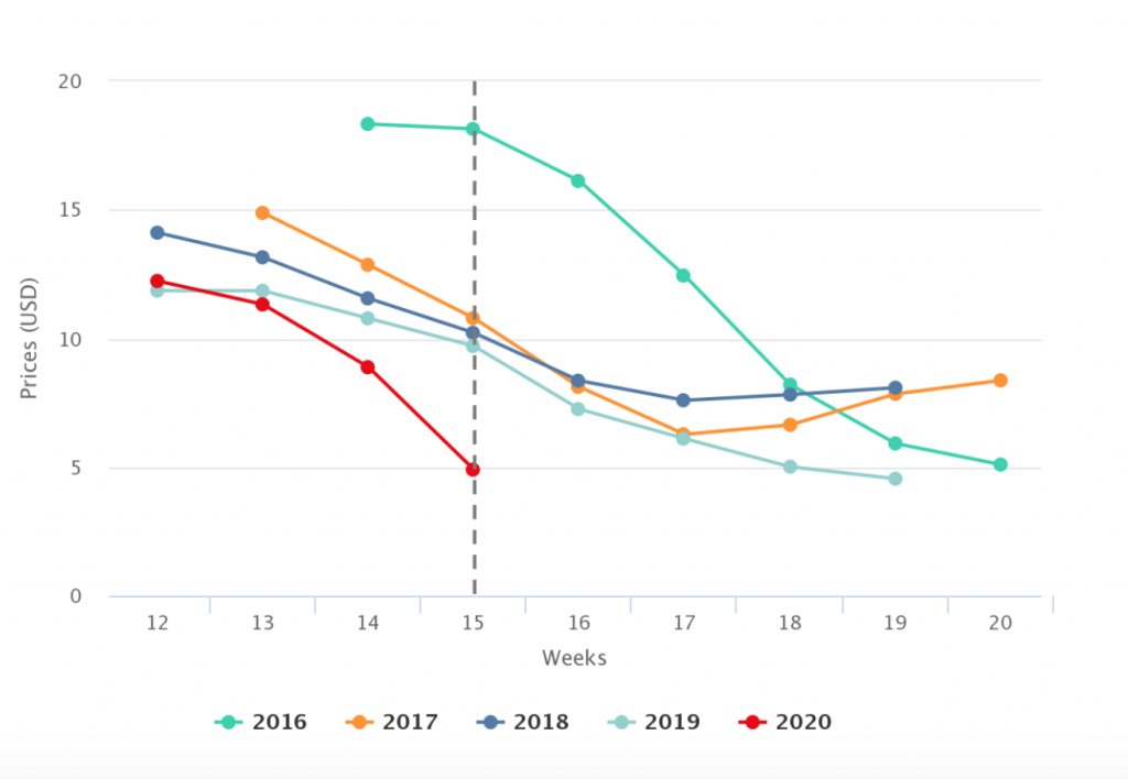 Florida's blueberry prices down in Covid19