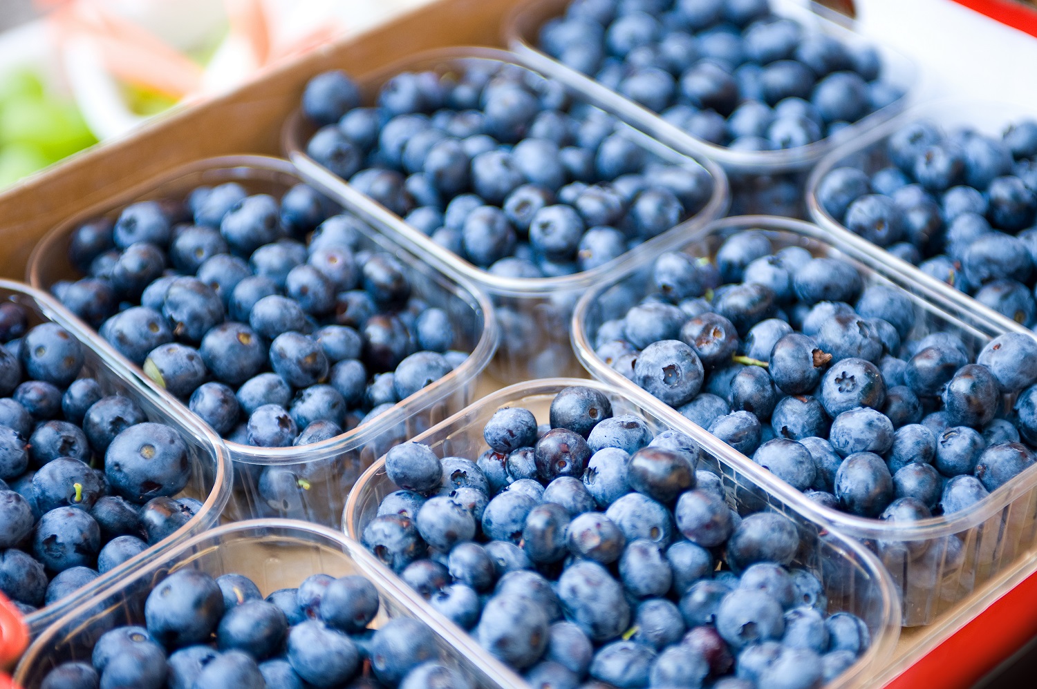Blueberries U.S. gains fresh access to Philippines