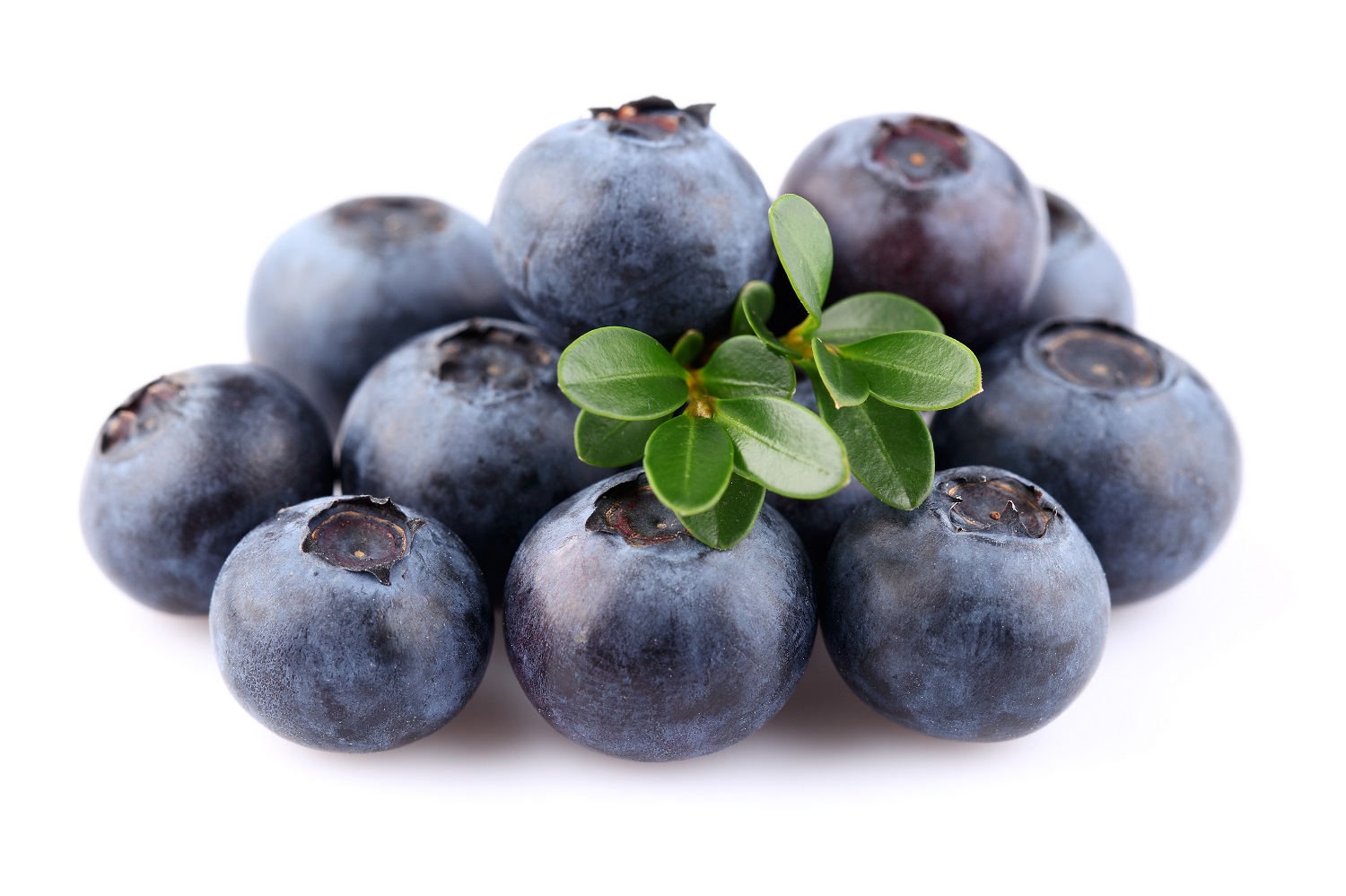 South Africa Blueberry production soars