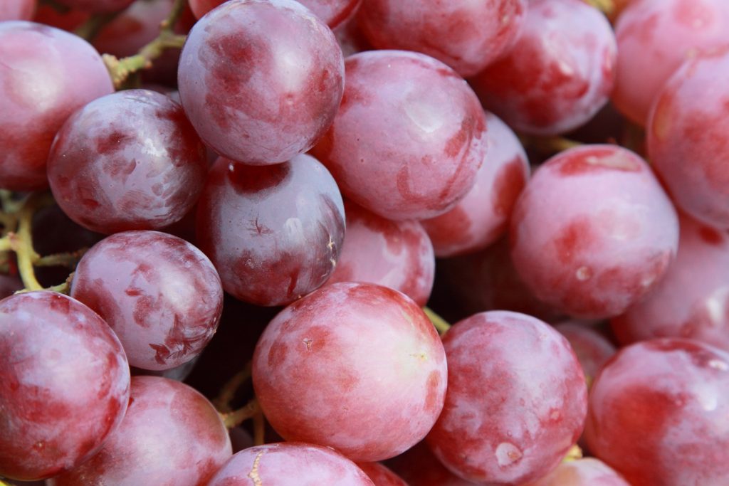 Chilean table grape shipments down on 2019, but Europe sees small rise