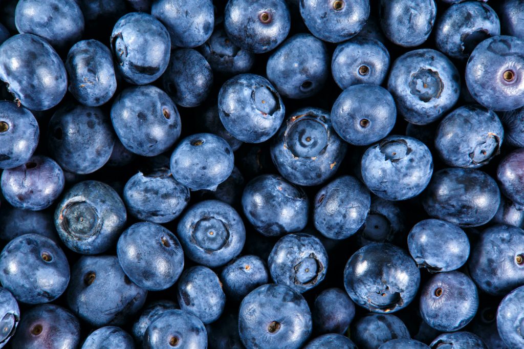 Chile releases 2021-22 blueberry export forecast