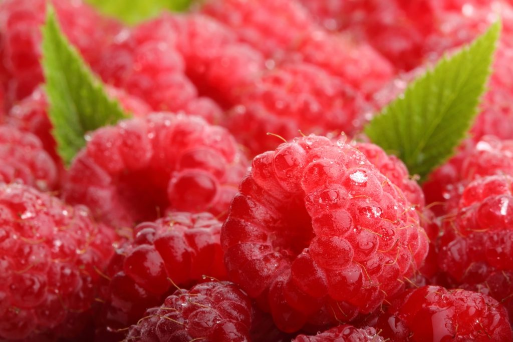 APHIS opens comments on Peruvian raspberry, turmeric imports